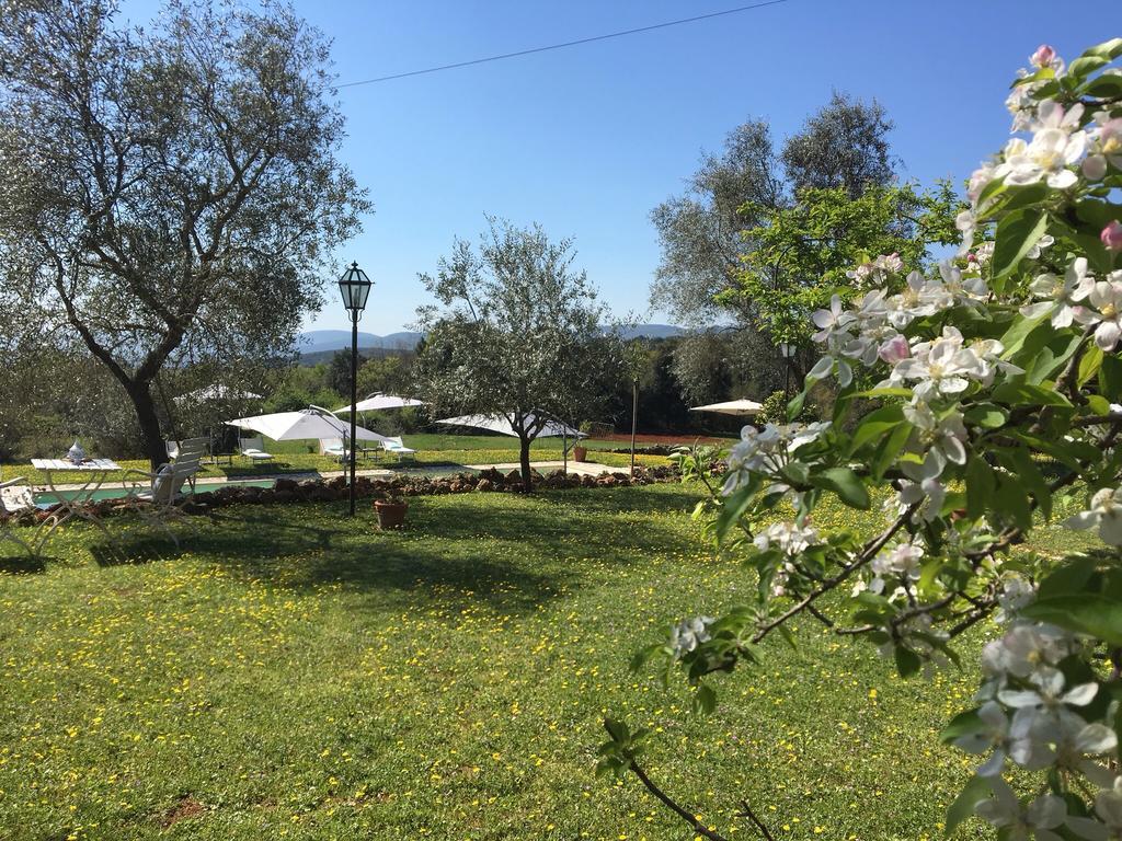 La Canonica Di San Michele Monteriggioni Extérieur photo