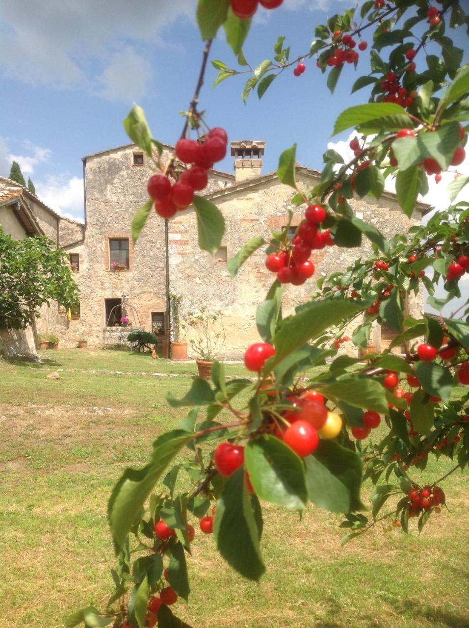 La Canonica Di San Michele Monteriggioni Extérieur photo